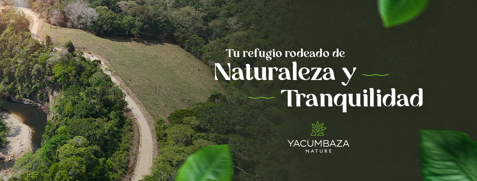 Diseño Gráfico