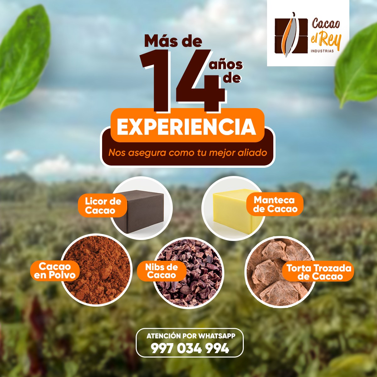 Manejo de Redes Sociales para Cacao el Rey