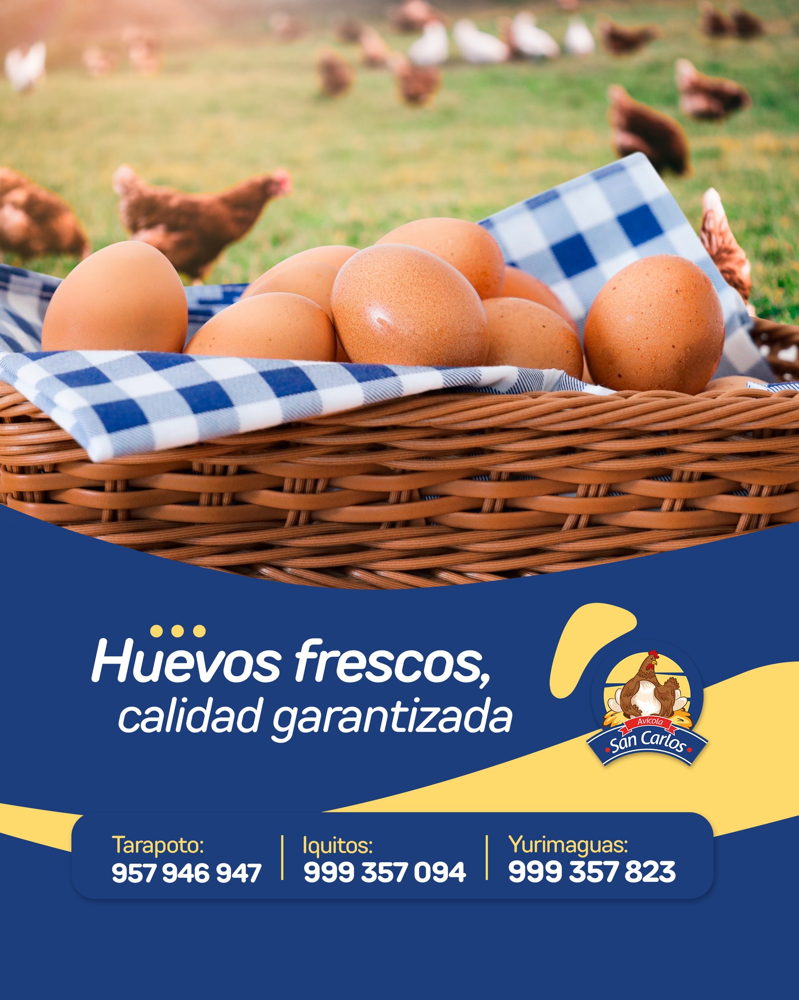 Manejo de Redes Sociales para Avícola San Carlos