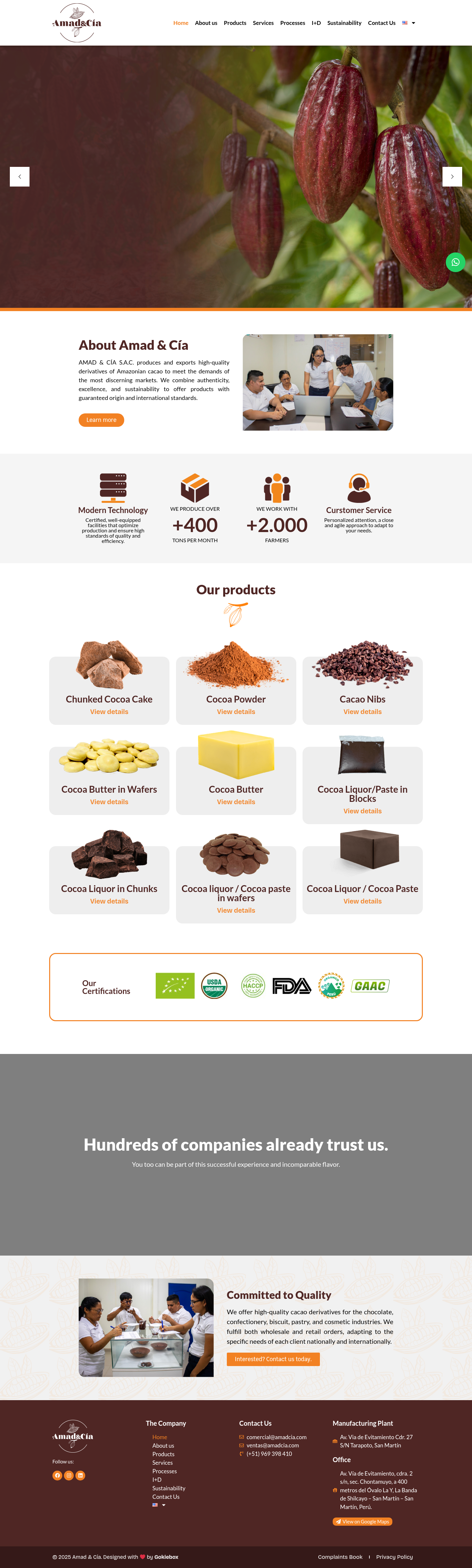 Diseño de Página Web para AMAD & CIA