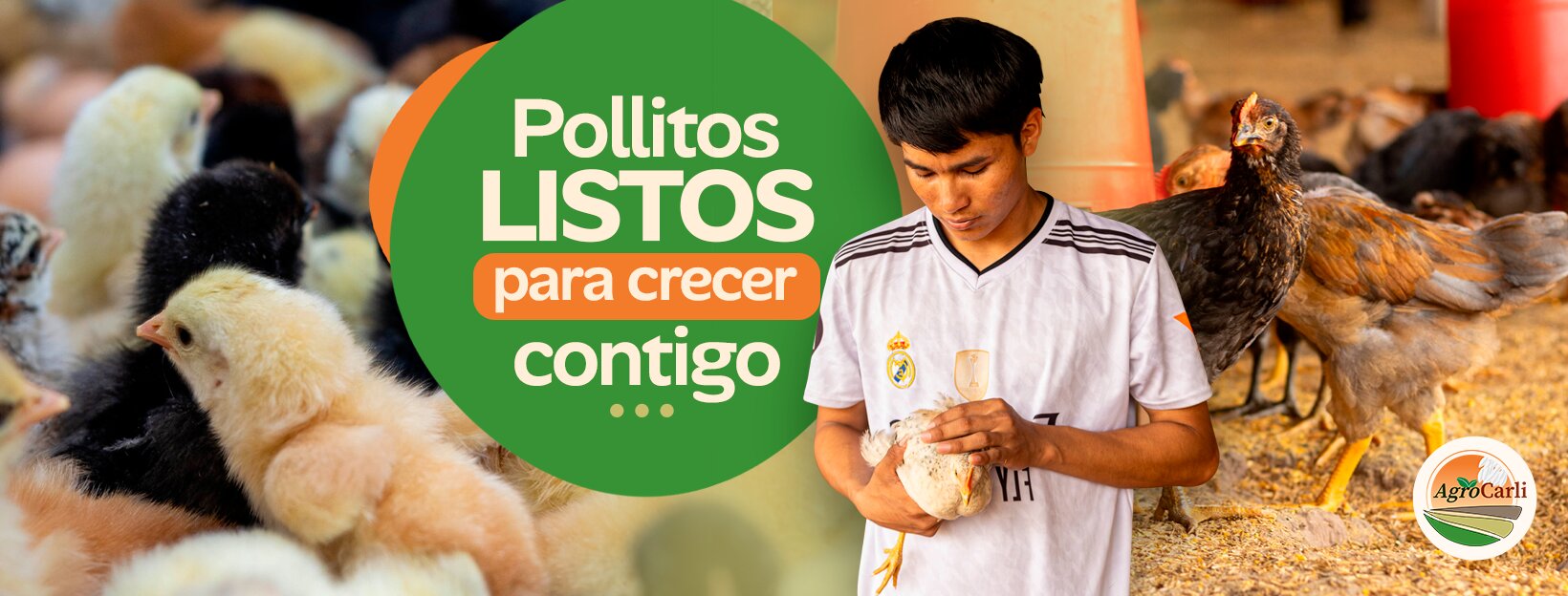 Diseño de Flyers para AgroCarli