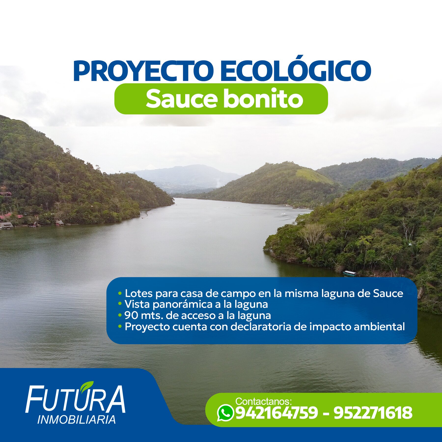 Diseño de Flyers para Futura Inmobiliaria