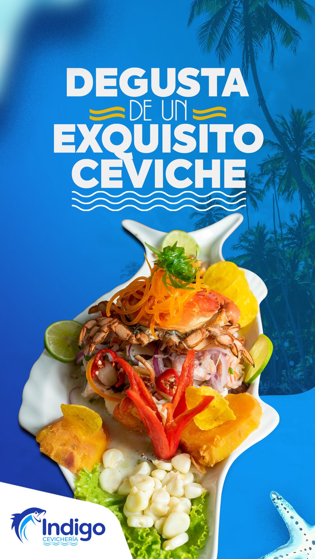Manejo de Redes Sociales para Indigo Cevichería – Bar
